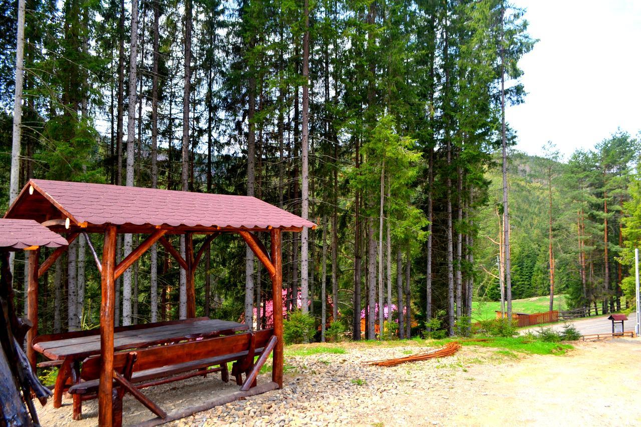 Pensiunea Vatra Bucovinei Vatra Moldoviţei Exterior foto